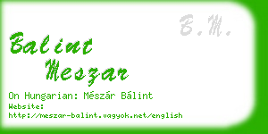 balint meszar business card